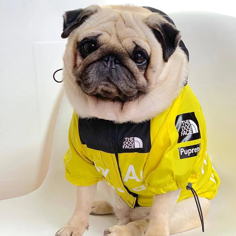 Roupas Lindas & Dog Clothes Raincoat For Small Big Dogs Wind Coat Windbreaker French Bulldog Hoodie For Dogs Clothes Jacket Chihuahua Dog Face