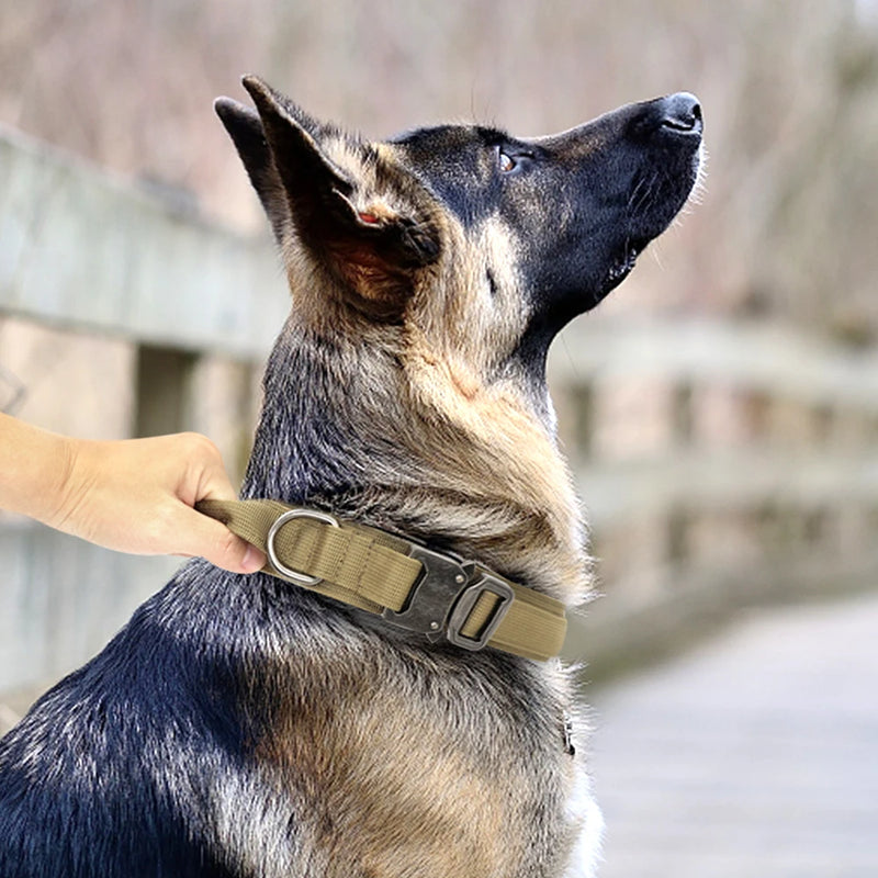 Dog Collar Durable Tactical Leash Set Adjustable Military Pet Collar Leash Medium Large Dog German Shepherd Training Accessories